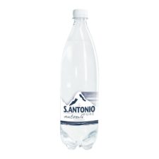 S.Antonio Pure PET litro naturale